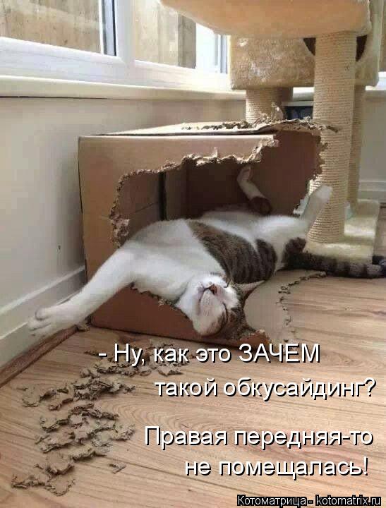 Котоматрица: - Ну, как это ЗАЧЕМ такой обкусайдинг? Правая передняя-то  не помещалась!