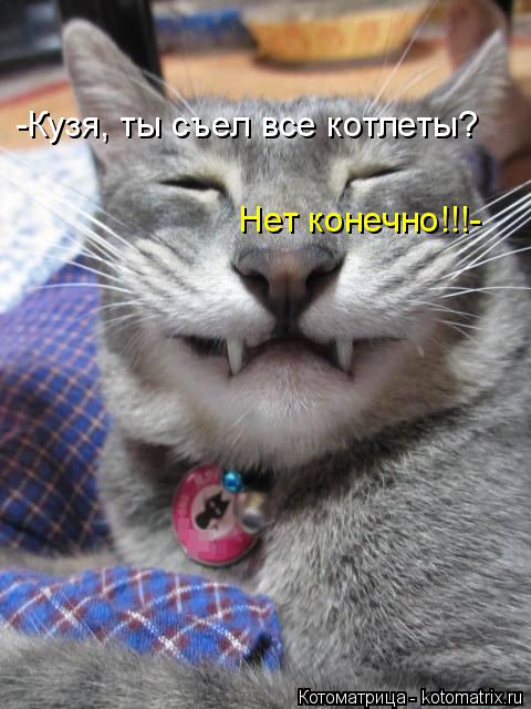 Котоматрица: -Кузя, ты съел все котлеты? Нет конечно!!!-