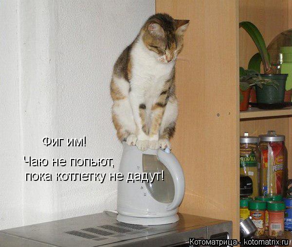Котоматрица: Фиг им! Чаю не попьют,  пока котлетку не дадут!