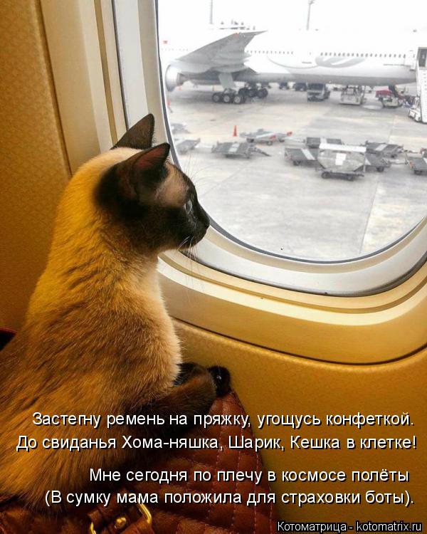Котоматрица: (В сумку мама положила для страховки боты). Мне сегодня по плечу в космосе полёты Застегну ремень на пряжку, угощусь конфеткой. До свиданья Х