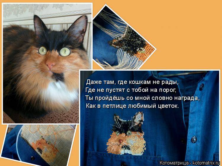 Даже там, где кошкам не рады, Где не пустят с тобой на порог, Как в петлице любимый цветок. Ты пройдё... Котоматрица: Даже там, где кошкам не рады, Где не пустят с тобой на порог, Как в петлице любимый цветок. Ты пройдёшь со мной словно награда,