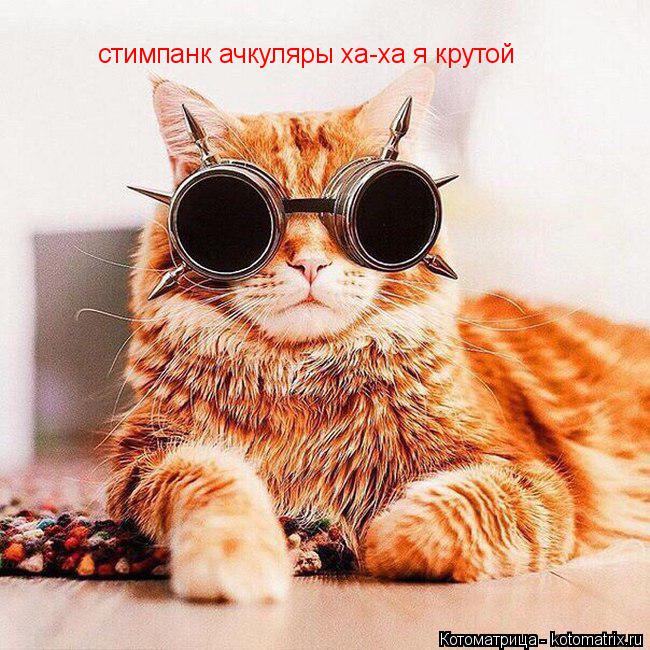 Котоматрица: стимпанк ачкуляры ха-ха я крутой