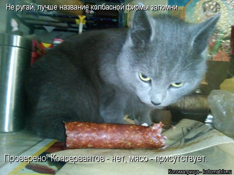 Котоматрица: Не ругай, лучше название колбасной фирмы запомни. Проверено! Консервантов - нет, мясо - присутствует.