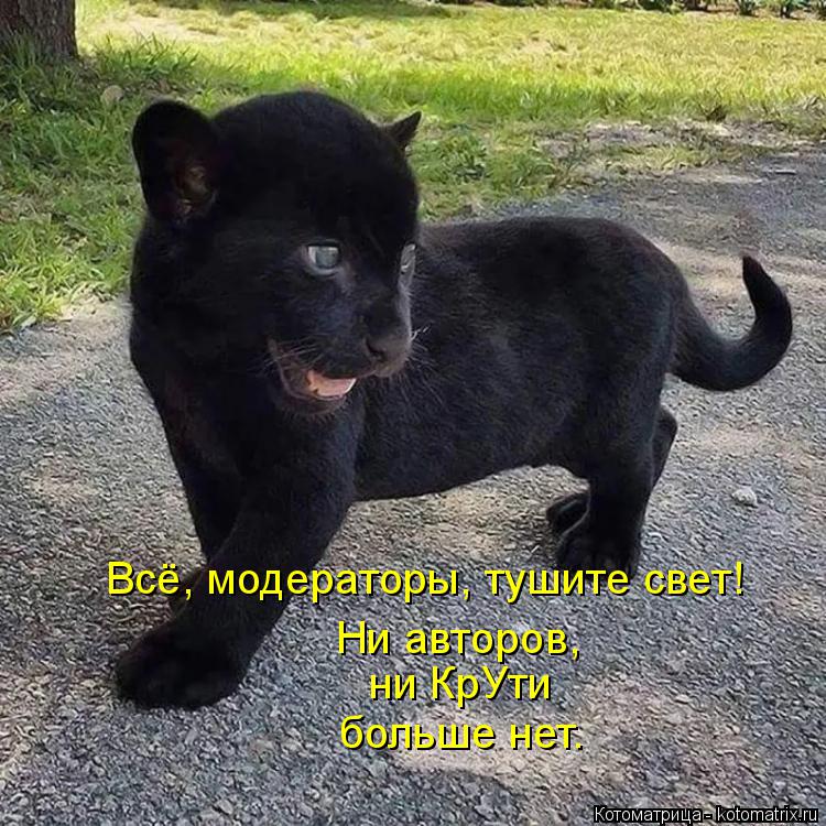 Котоматрица: Всё, модераторы, тушите свет! Ни авторов, ни КрУти больше нет.
