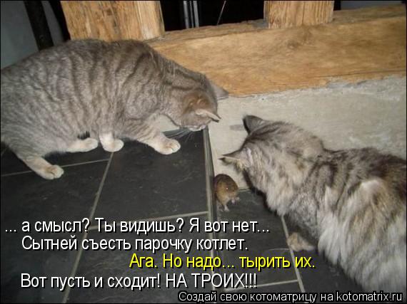 ... а смысл? Ты видишь? Я вот нет... Сытней съесть парочку котлет. Ага. Но надо... тырить их. Вот пус... Котоматрица: ... а смысл? Ты видишь? Я вот нет... Сытней съесть парочку котлет. Ага. Но надо... тырить их. Вот пусть и сходит! НА ТРОИХ!!!