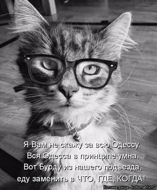 Котоматрица: Я Вам не скажу за всю Одессу. Вся Одесса в принципе умна. Вот Бурду из нашего подъезда, еду заменить в ЧТО, ГДЕ, КОГДА!