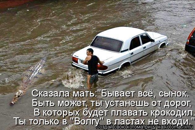 Котоматрица: Сказала мать:"Бывает всё, сынок. Быть может, ты устанешь от дорог, В которых будет плавать крокодил. Ты только в "Волгу" в ластах не входи."