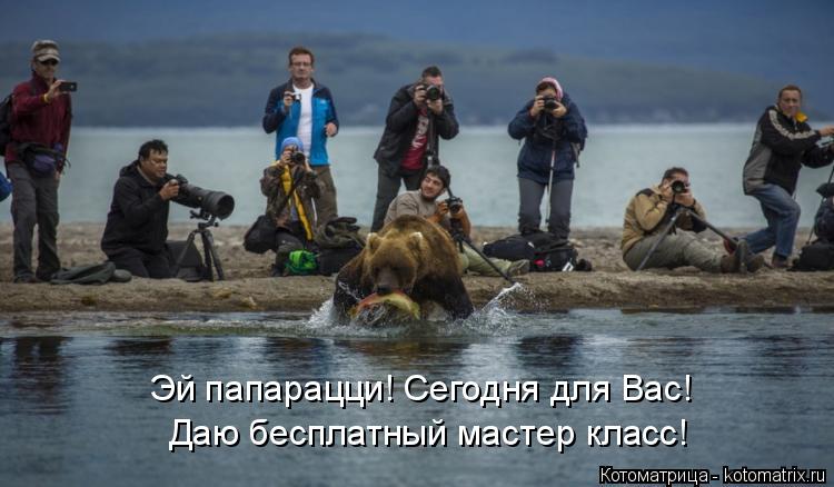 Котоматрица: Даю бесплатный мастер класс! Эй папарацци! Сегодня для Вас!