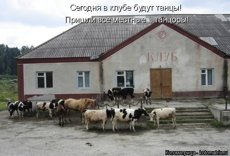 Сегодня в клубе будут танцы! Пришли все местные ...танцоры!... Котоматрица: Сегодня в клубе будут танцы! Пришли все местные ...танцоры!