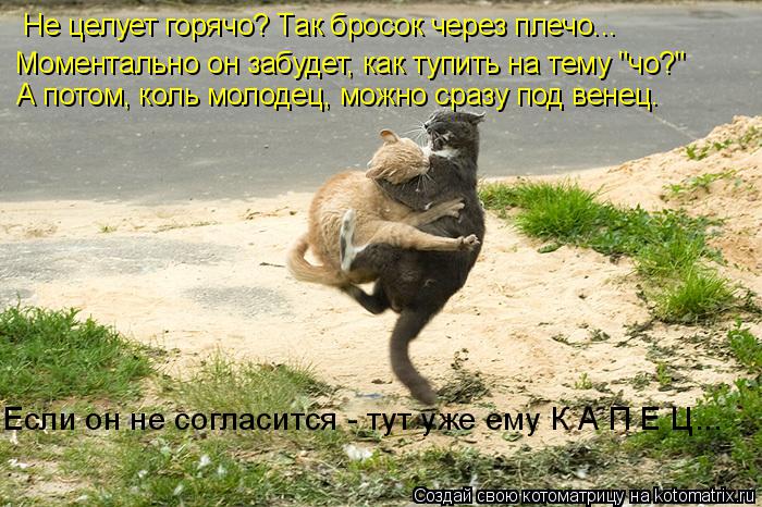 Не целует горячо? Так бросок через плечо... Моментально он забудет, как тупить на тему "чо?" А потом,... Котоматрица: Не целует горячо? Так бросок через плечо... Моментально он забудет, как тупить на тему "чо?" А потом, коль молодец, можно сразу под венец. Если о