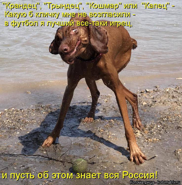 Котоматрица: "Крандец", "Трындец", "Кошмар" или  "Капец" -  в футбол я лучший все-таки игрец,  и пусть об этом знает вся Россия! Какую б кличку мне не возгласили