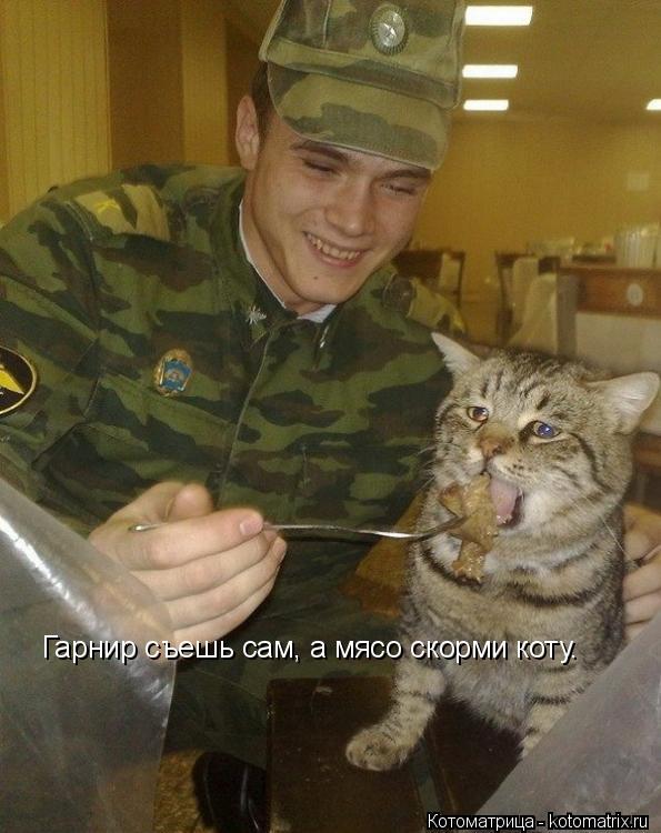 Гарнир съешь сам, а мясо скорми коту.... Котоматрица: Гарнир съешь сам, а мясо скорми коту.