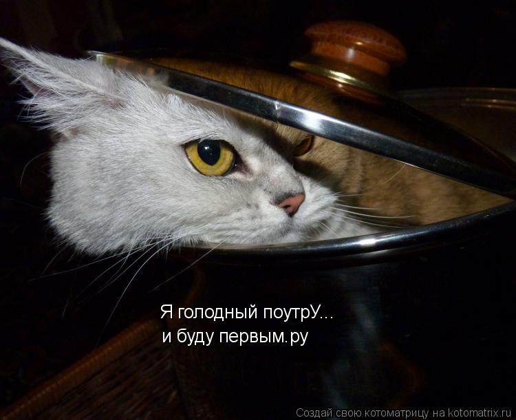 Я голодный поутрУ... и буду первым.ру... Котоматрица: Я голодный поутрУ... и буду первым.ру