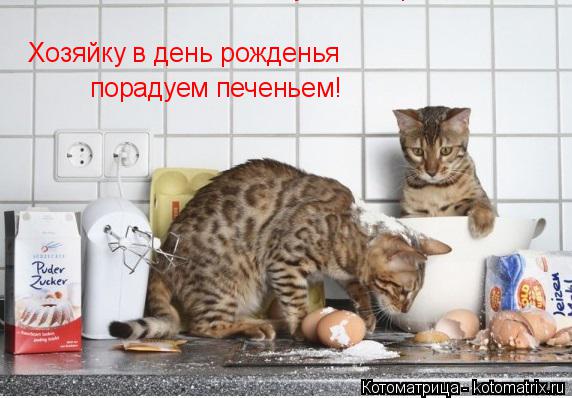 Хозяйку в день рожденья Хозяйку в день рожденья порадуем печеньем!... Котоматрица: Хозяйку в день рожденья Хозяйку в день рожденья порадуем печеньем!