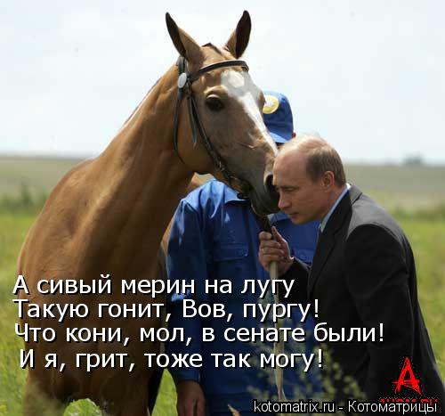 А сивый мерин на лугу Такую гонит, Вов, пургу! Что кони, мол, в сенате были! И я, грит, тоже так могу... Котоматрица: А сивый мерин на лугу Такую гонит, Вов, пургу! Что кони, мол, в сенате были! И я, грит, тоже так могу!