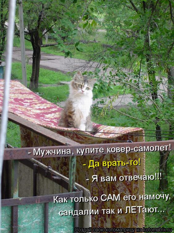 Котоматрица: - Мужчина, купите ковер-самолет! - Да врать-то! - Я вам отвечаю!!! Как только САМ его намочу, сандалии так и ЛЕТают...