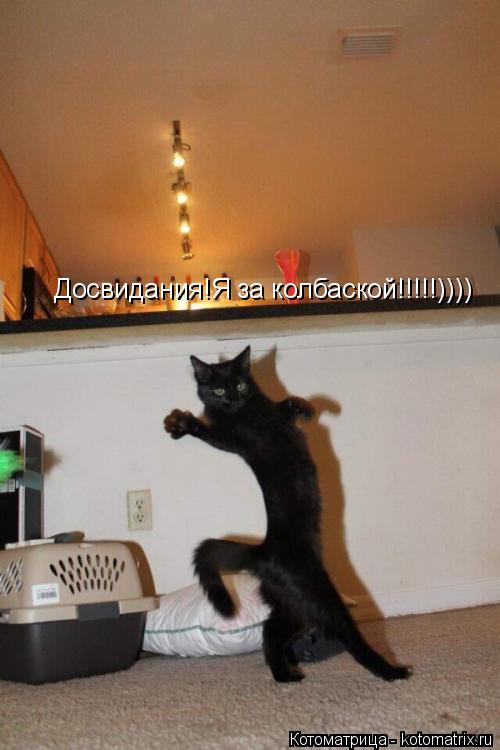 Досвидания!Я за колбаской!!!!!))))... Котоматрица: Досвидания!Я за колбаской!!!!!))))