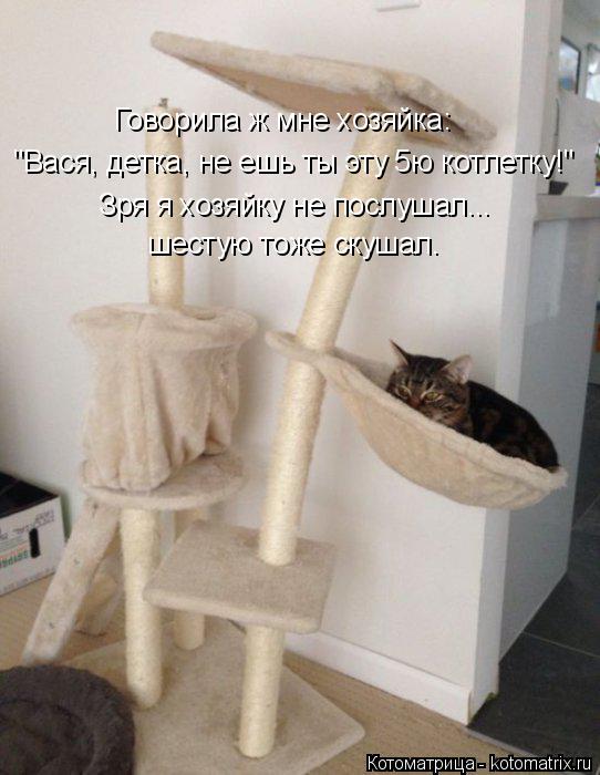 Котоматрица: Говорила ж мне хозяйка: "Вася, детка, не ешь ты эту 5ю котлетку!" Зря я хозяйку не послушал... шестую тоже скушал.