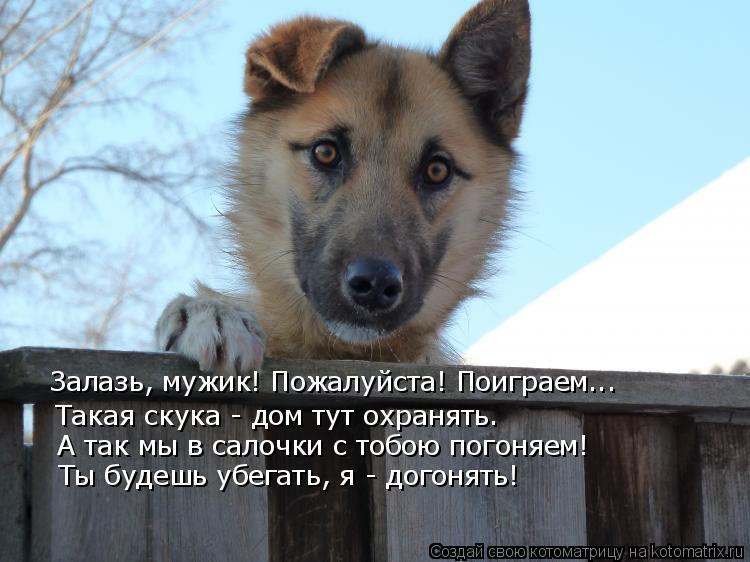 Залазь, мужик! Пожалуйста! Поиграем... Такая скука - дом тут охранять. А так мы в салочки с тобою пог... Котоматрица: Залазь, мужик! Пожалуйста! Поиграем... Такая скука - дом тут охранять. А так мы в салочки с тобою погоняем! Ты будешь убегать, я - догонять!