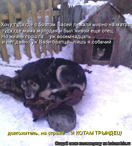 Котоматрица: Хочу туда,где с братом Васей лежали мирно на матрасе,  туда,где мама молодая и был живой еще отец... Но жизнь прошла... уж восемнадцать...  и нет ?