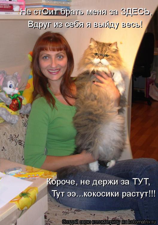 Не стОит брать меня за ЗДЕСЬ, Вдруг из себя я выйду весь! Короче, не держи за ТУТ, Тут ээ...кокосики ... Котоматрица: Не стОит брать меня за ЗДЕСЬ, Вдруг из себя я выйду весь! Короче, не держи за ТУТ, Тут ээ...кокосики растут!!!