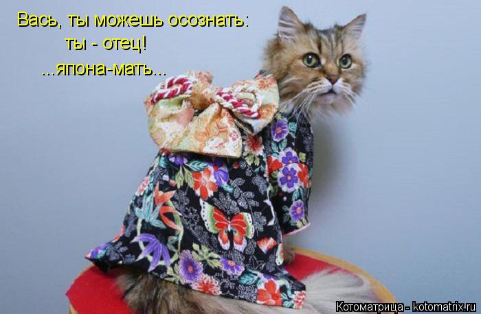 Вась, ты можешь осознать: ты - отец! ...япона-мать...... Котоматрица: Вась, ты можешь осознать: ты - отец! ...япона-мать...