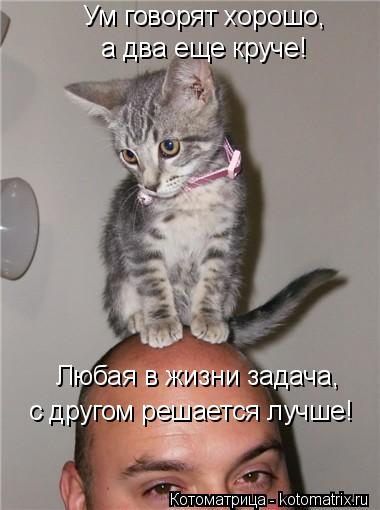 Ум говорят хорошо, а два еще круче! Любая в жизни задача, с другом решается лучше!... Котоматрица: Ум говорят хорошо, а два еще круче! Любая в жизни задача, с другом решается лучше!