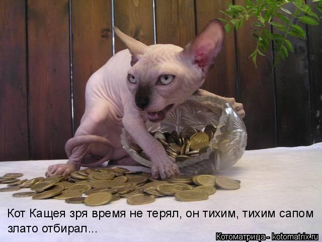 Кот Кащея зря время не терял, он тихим, тихим сапом злато отбирал...... Котоматрица: Кот Кащея зря время не терял, он тихим, тихим сапом злато отбирал...