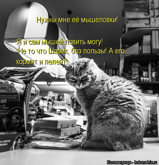 Нужны мне её мышеловки! Я и сам мышей ловить могу! Не то что Шарик, без пользы! А его кормят и лелея... Котоматрица: Нужны мне её мышеловки! Я и сам мышей ловить могу! Не то что Шарик, без пользы! А его кормят и лелеят!
