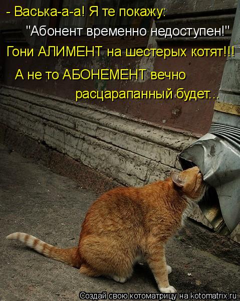 - Васька-а-а! Я те покажу: "Абонент временно недоступен!" Гони АЛИМЕНТ на шестерых котят!!! А не то А... Котоматрица: - Васька-а-а! Я те покажу: "Абонент временно недоступен!" Гони АЛИМЕНТ на шестерых котят!!! А не то АБОНЕМЕНТ вечно расцарапанный будет...