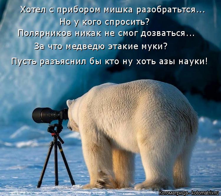 Хотел с прибором мишка разобратьтся... Но у кого спросить? Полярников никак не смог дозваться... За ... Котоматрица: Хотел с прибором мишка разобратьтся... Но у кого спросить? Полярников никак не смог дозваться... За что медведю этакие муки? Пусть разъяснил