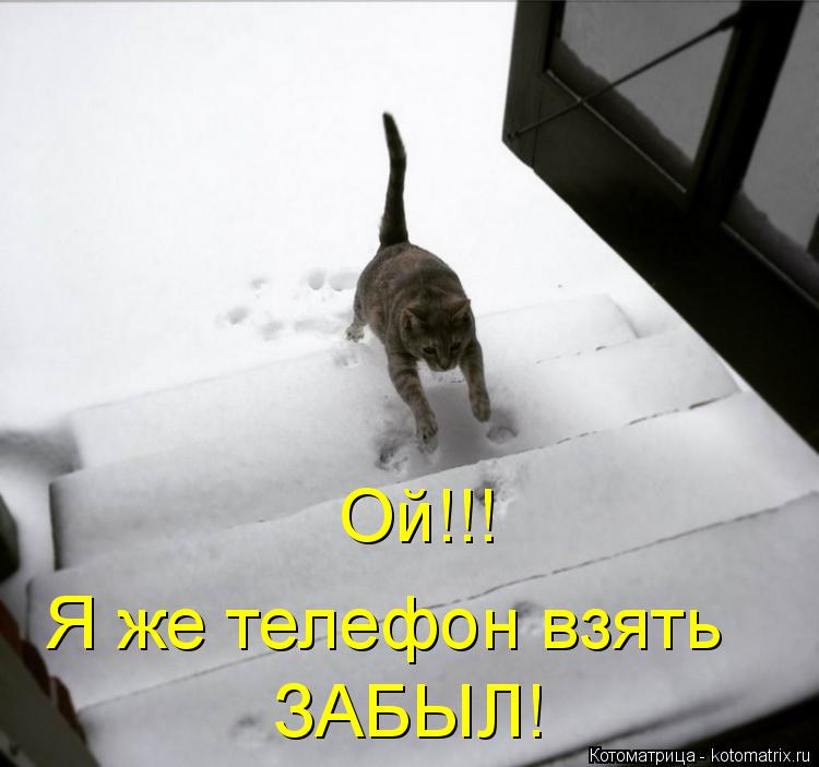Котоматрица: Ой!!! Я же телефон взять ЗАБЫЛ!