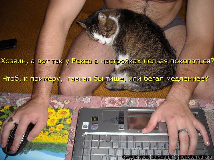 Чтоб, к примеру, гавкал бы тише, или бегал медленнее? Хозяин, а вот так у Рекса в настройках нельзя ... Котоматрица: Чтоб, к примеру, гавкал бы тише, или бегал медленнее? Хозяин, а вот так у Рекса в настройках нельзя покопаться?