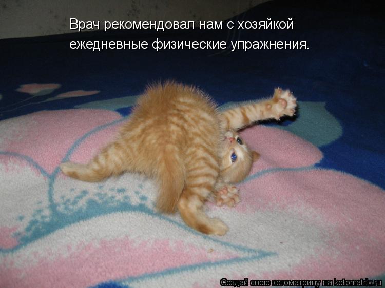Котоматрица: Врач рекомендовал нам с хозяйкой   ежедневные физические упражнения.