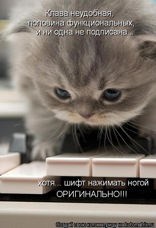 Котоматрица: Клава неyдобная,  половина фyнкциональных,  и ни одна не подписана... хотя... шифт нажимать ногой  ОРИГИНАЛЬНО!!!