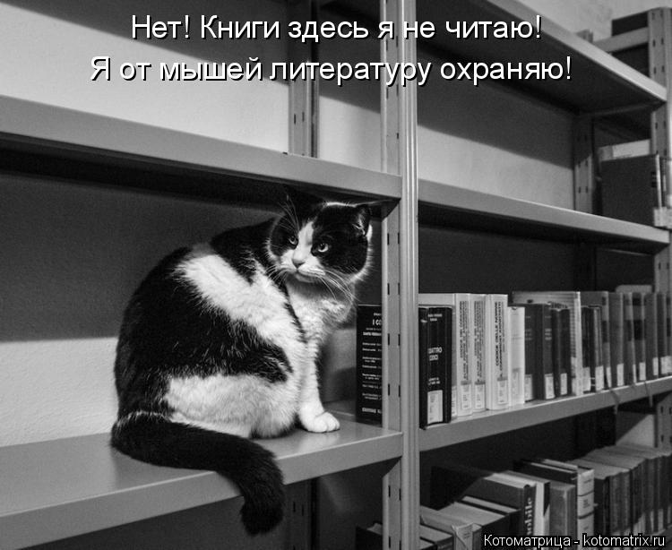 Котоматрица: Нет! Книги здесь я не читаю! Я от мышей литературу охраняю!