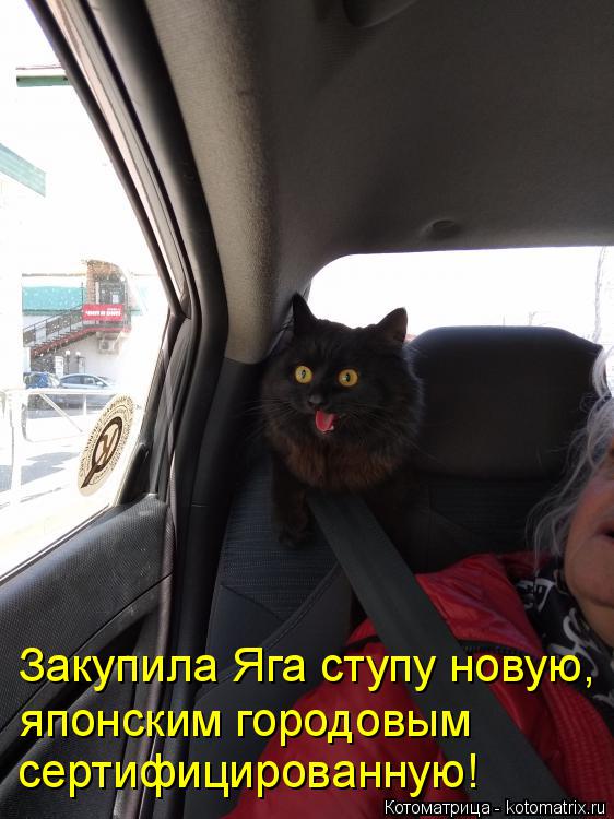 Закупила Яга ступу новую, японским городовым сертифицированную!... Котоматрица: Закупила Яга ступу новую, японским городовым сертифицированную!