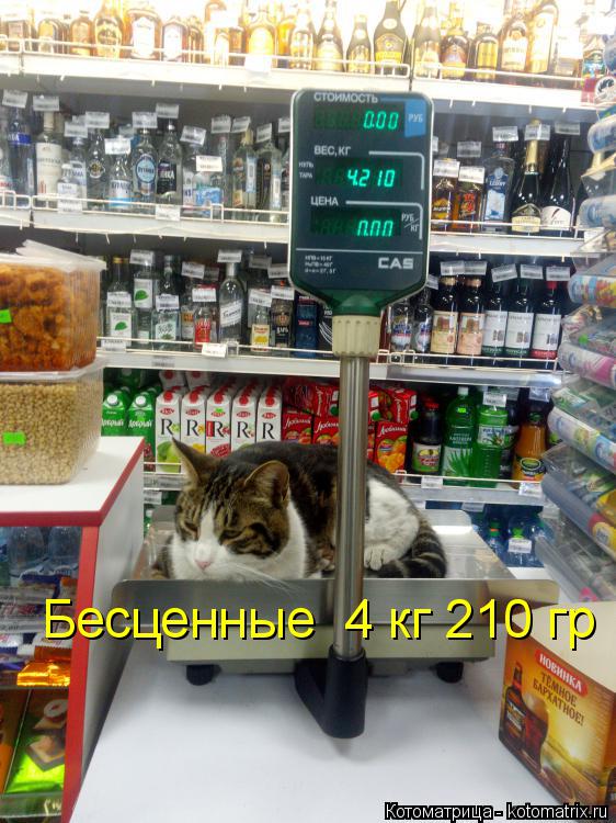 Бесценные 4 кг 210 гр... Котоматрица: Бесценные 4 кг 210 гр