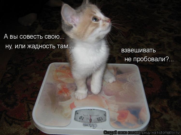 Котоматрица: А вы совесть свою...  ну, или жадность там... взвешивать  не пробовали?...