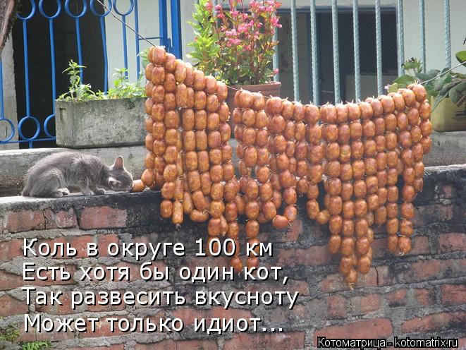 Коль в округе 100 км Есть хотя бы один кот, Так развесить вкусноту Может только идиот...... Котоматрица: Коль в округе 100 км Есть хотя бы один кот, Так развесить вкусноту Может только идиот...