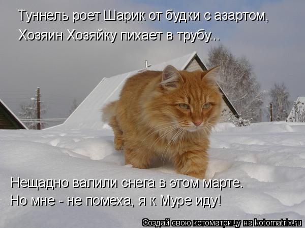 Нещадно валили снега в этом марте. Но мне - не помеха, я к Муре иду! Туннель роет Шарик от будки с аз... Котоматрица: Нещадно валили снега в этом марте. Но мне - не помеха, я к Муре иду! Туннель роет Шарик от будки с азартом, Хозяин Хозяйку пихает в трубу...