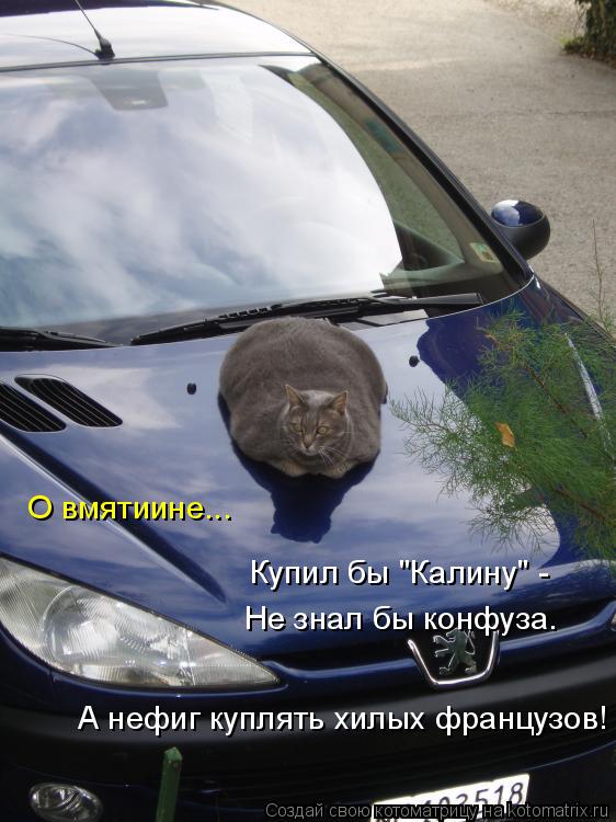 Купил бы "Калину" - Не знал бы конфуза. А нефиг куплять хилых французов! О вмятиине...... Котоматрица: Купил бы "Калину" - Не знал бы конфуза. А нефиг куплять хилых французов! О вмятиине...