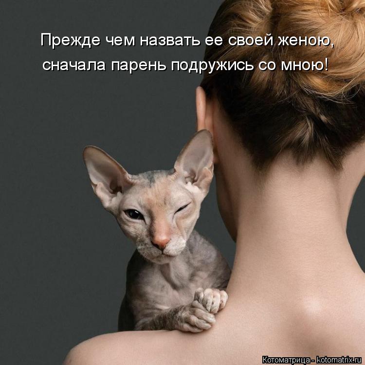 Котоматрица: Прежде чем назвать ее своей женою, сначала парень подружись со мною!