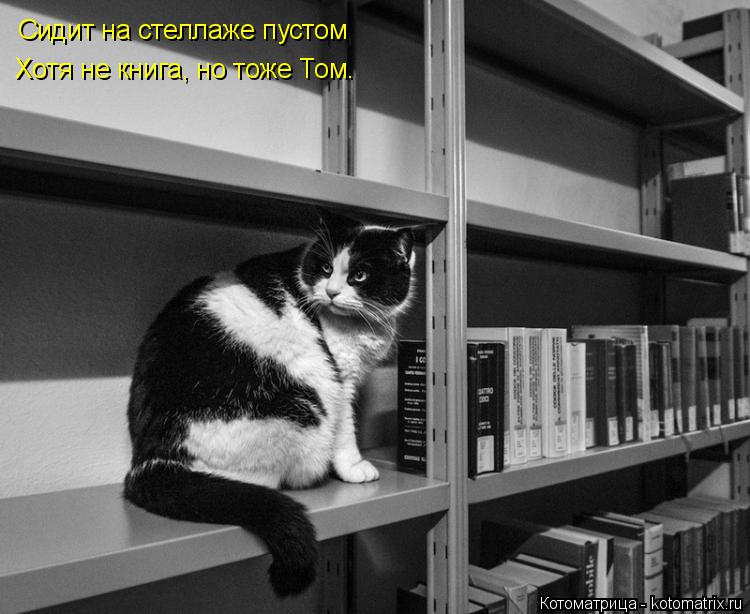 Сидит на стеллаже пустом Хотя не книга, но тоже Том.... Котоматрица: Сидит на стеллаже пустом Хотя не книга, но тоже Том.