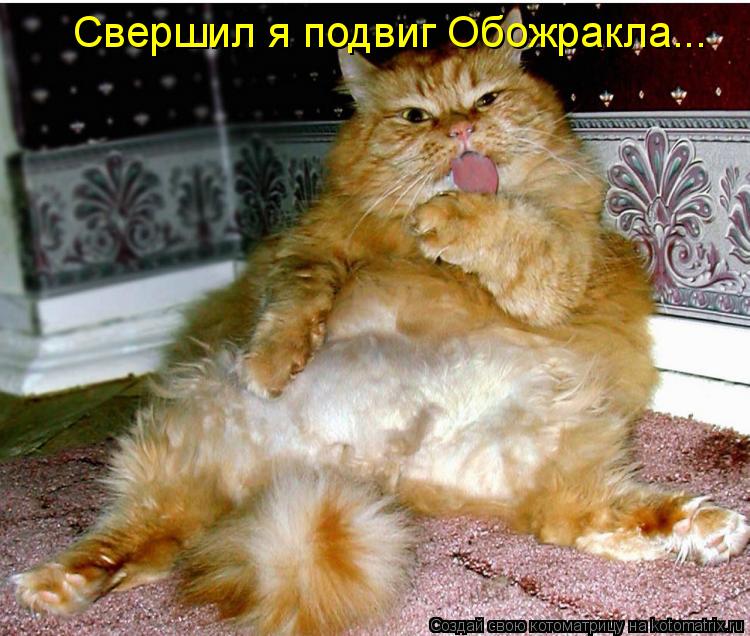 Свершил я подвиг Обожракла...... Котоматрица: Свершил я подвиг Обожракла...