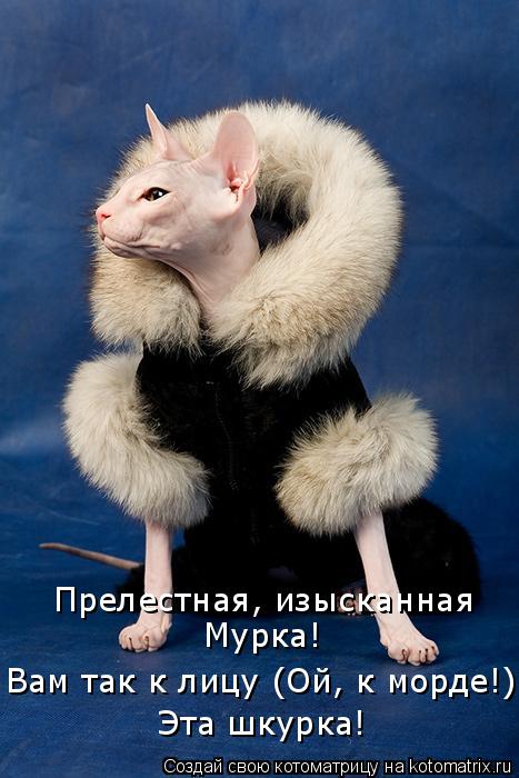Прелестная, изысканная Мурка! Вам так к лицу (Ой, к морде!) Эта шкурка!... Котоматрица: Прелестная, изысканная Мурка! Вам так к лицу (Ой, к морде!) Эта шкурка!