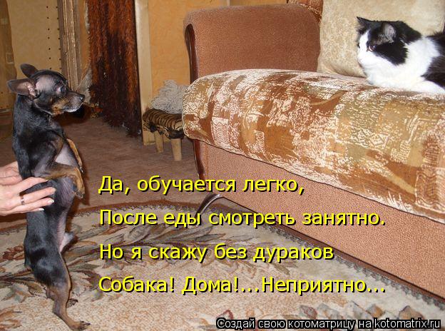 Но я скажу без дураков Собака! Дома!...Неприятно... После еды смотреть занятно. Да, обучается легко,... Котоматрица: Но я скажу без дураков Собака! Дома!...Неприятно... После еды смотреть занятно. Да, обучается легко,