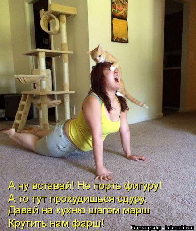 А ну вставай! Не порть фигуру! А то тут прохудишься сдуру. Давай на кухню шагом марш Крутить нам фарш... Котоматрица: А ну вставай! Не порть фигуру! А то тут прохудишься сдуру. Давай на кухню шагом марш Крутить нам фарш!