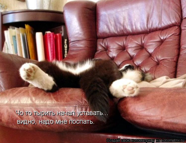 Котоматрица: Чо то тырить начал уставать... видно, надо мне поспать.