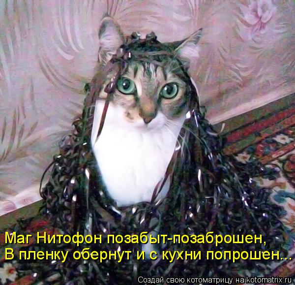 Маг Нитофон позабыт-позаброшен, В пленку обернут и с кухни попрошен...... Котоматрица: Маг Нитофон позабыт-позаброшен, В пленку обернут и с кухни попрошен...